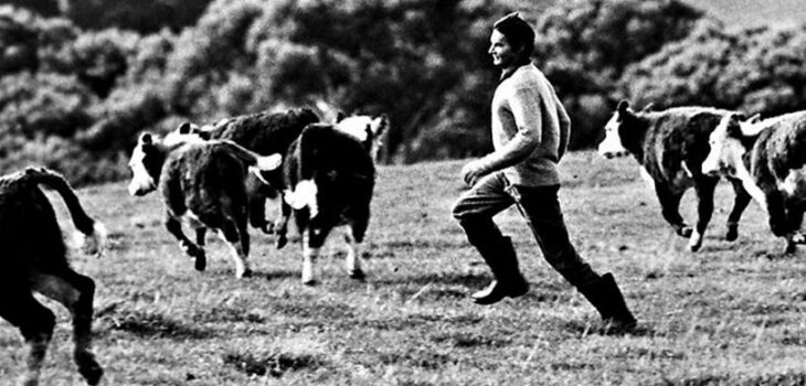 Cliff Young biegnie
