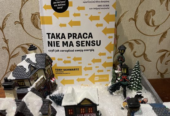 Taka praca nie ma sensu okładka książki