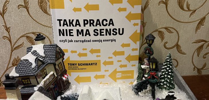 Taka praca nie ma sensu okładka książki